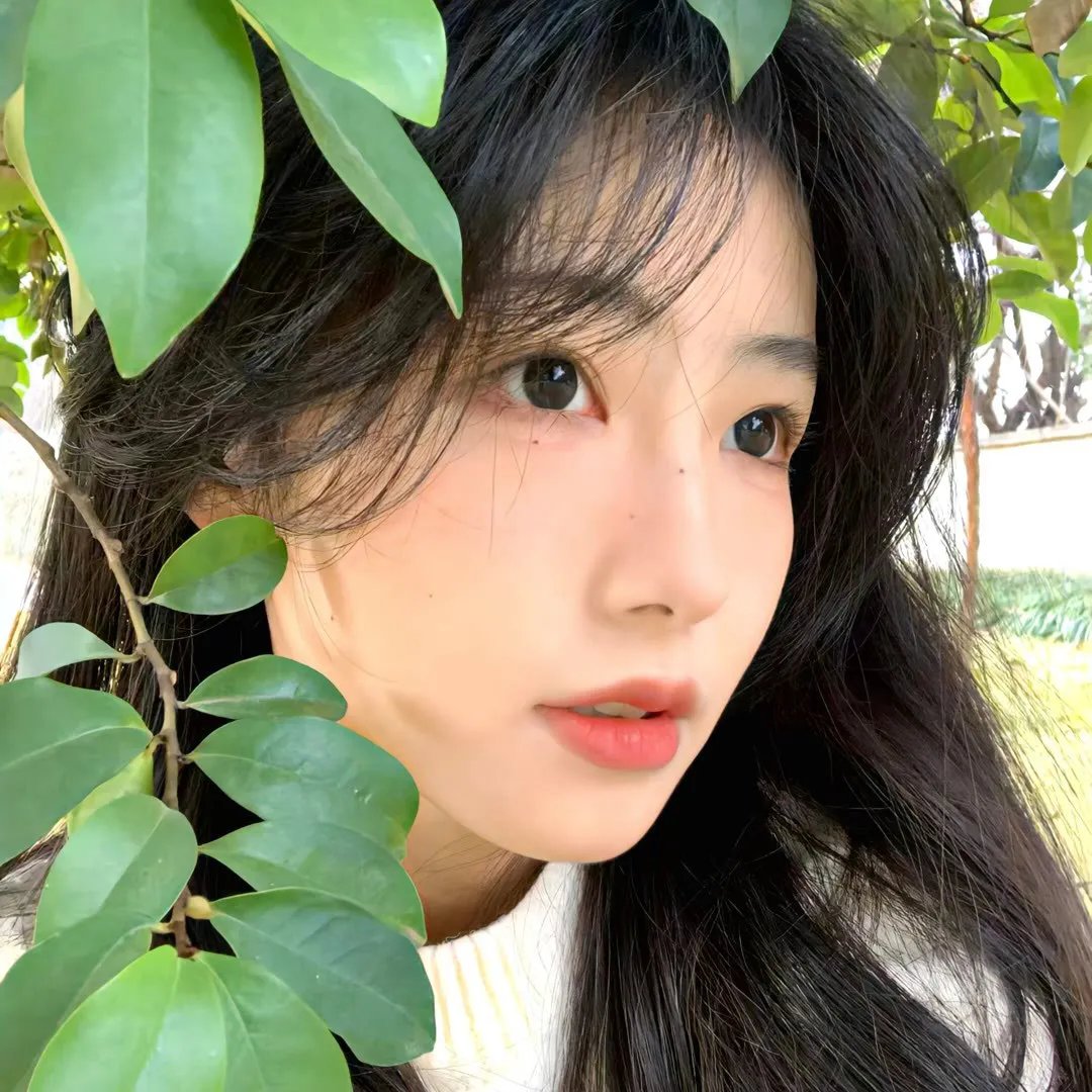 塔兰图拉毒蛛
